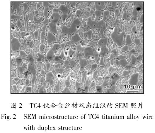 1714998415718959.jpg 360截圖16570202617281.jpg