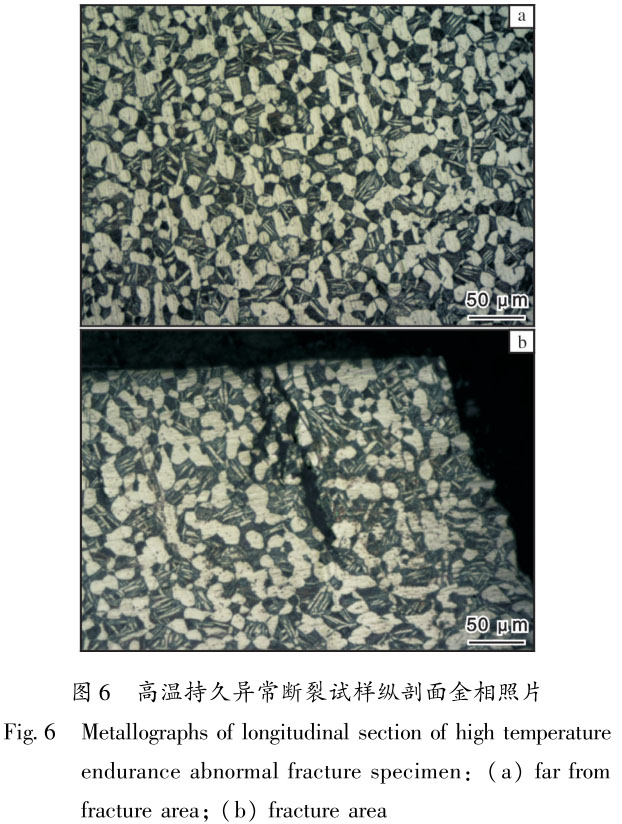 1716086085420096.jpg 未標(biāo)題-2.jpg