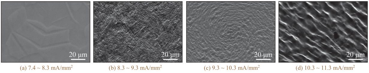 1716123970946222.jpg 360截圖16680910363280.jpg