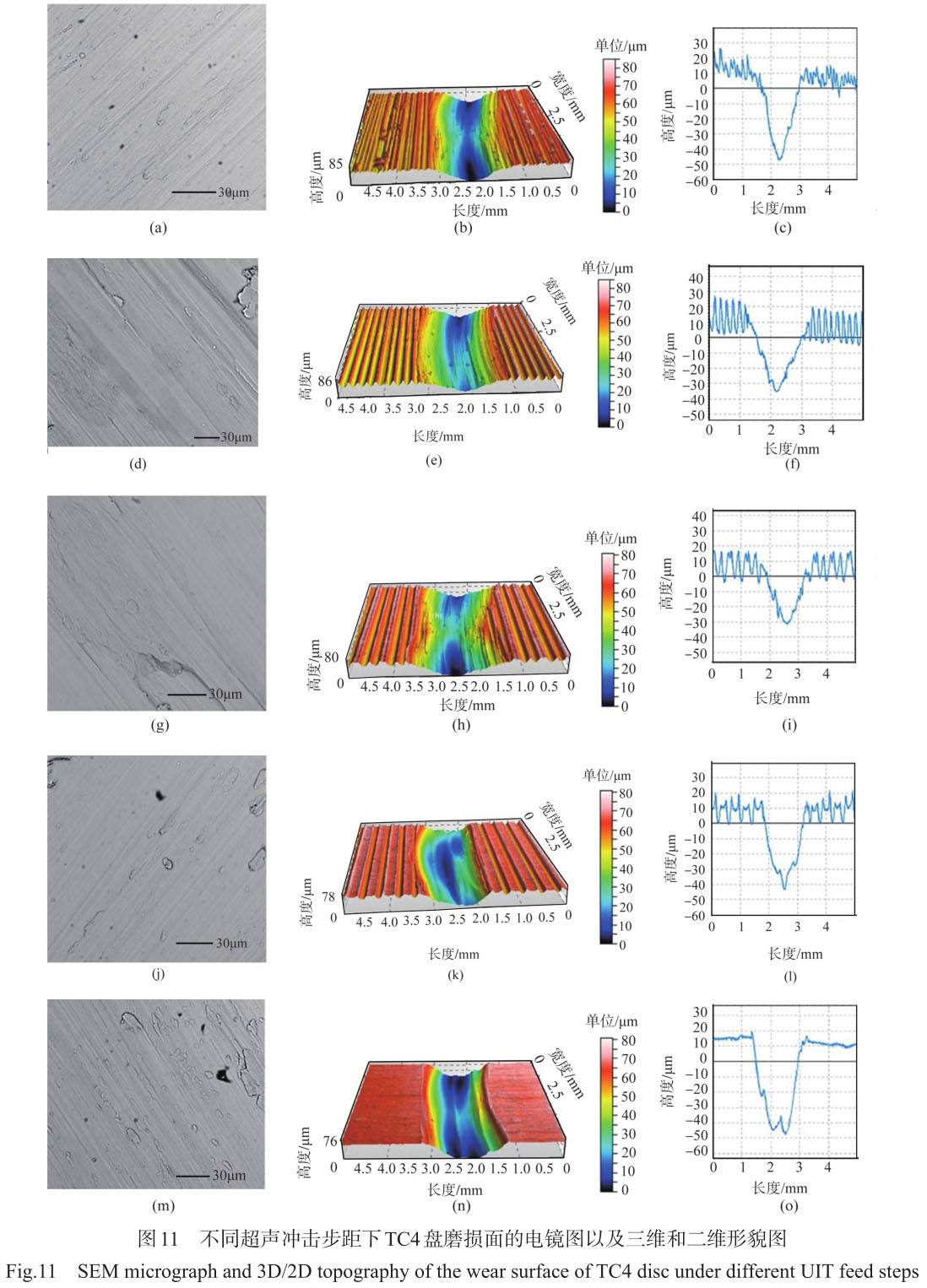 1708310243317231.jpg t11.jpg