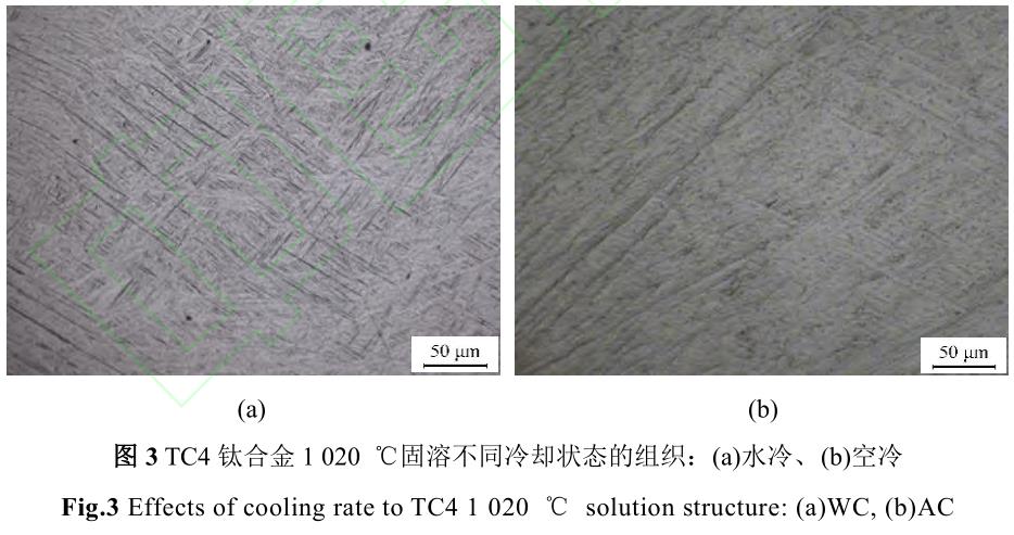 1720272745979530.jpg 360截圖16530711585476.jpg