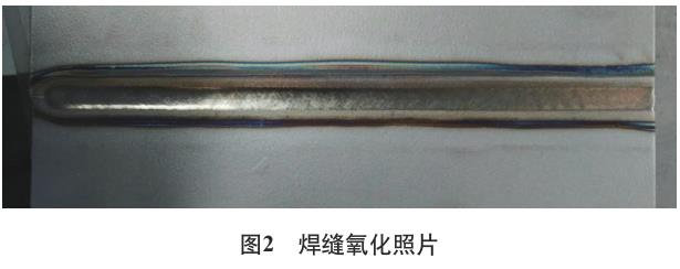 1724987351824116.jpg 360截圖16490126497966.jpg