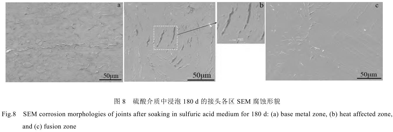 1729070677777573.jpg 8.jpg