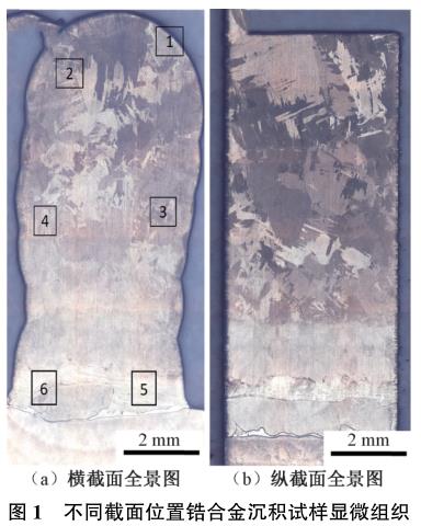 1729243089880502.jpg t1.jpg