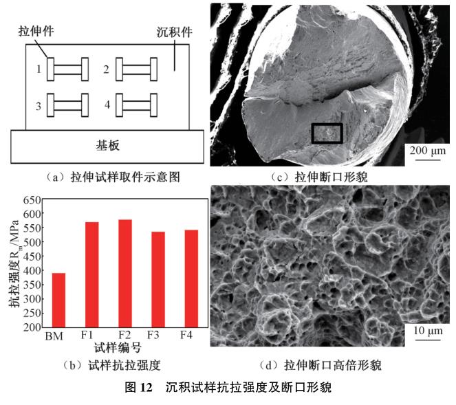 1729243189652836.jpg t12.jpg