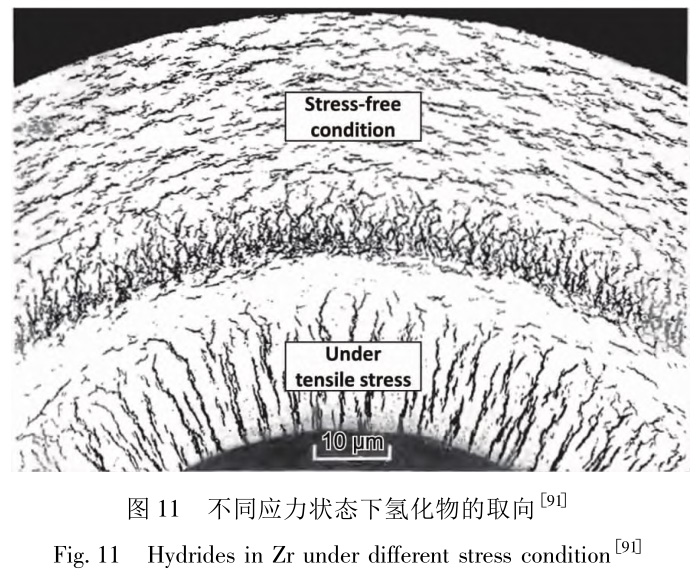 1729418789530676.jpg 11.jpg