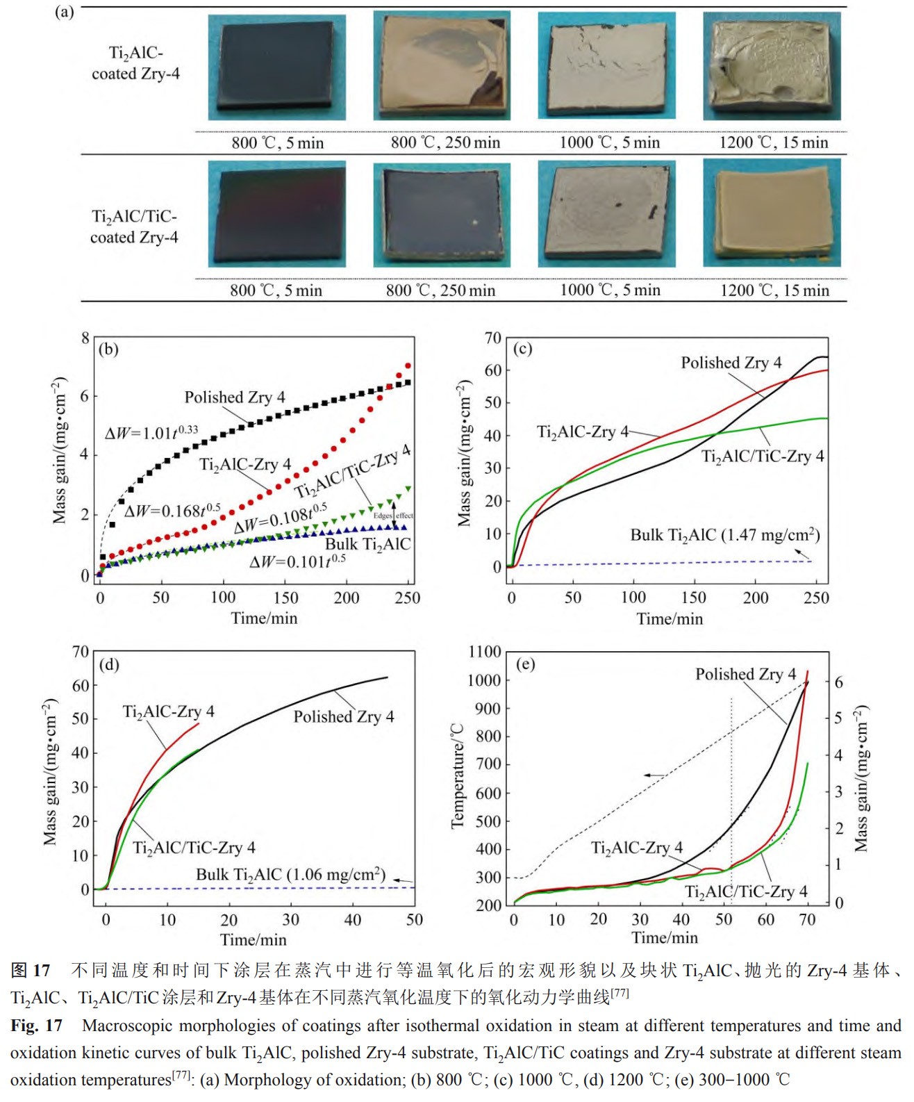 1734081953604781.jpg 17.jpg