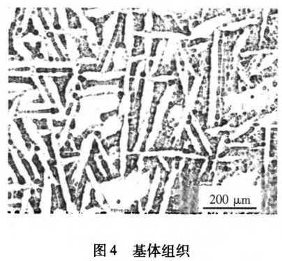 1735290849266495.png 4.png