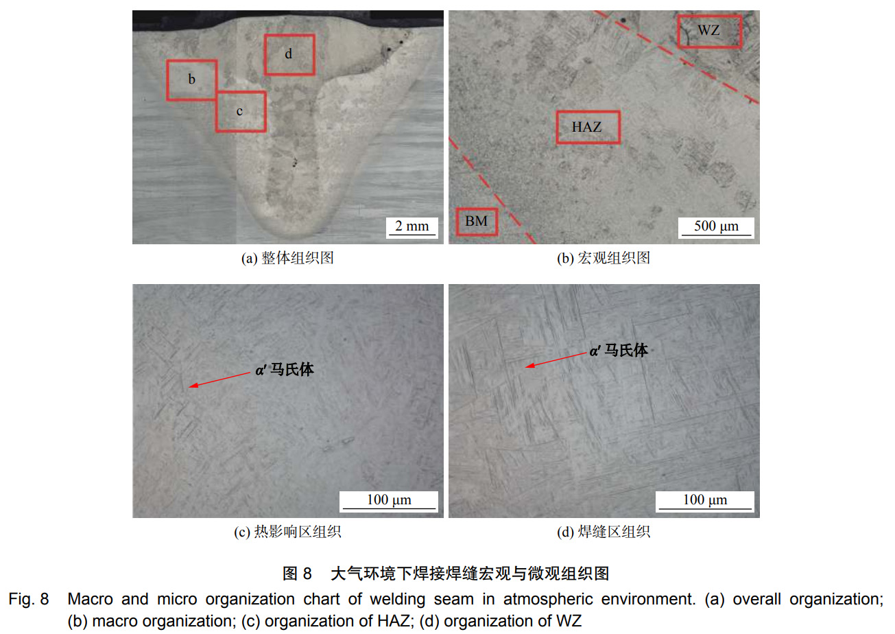 1735444223181171.jpg 未標題-1.jpg